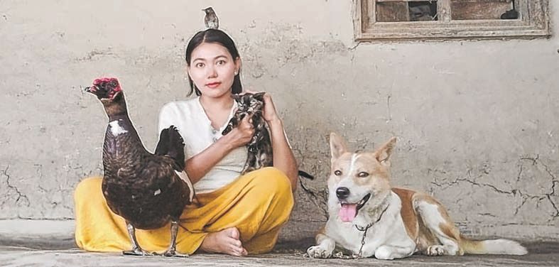 Reaching out to the animals : A duck as pet