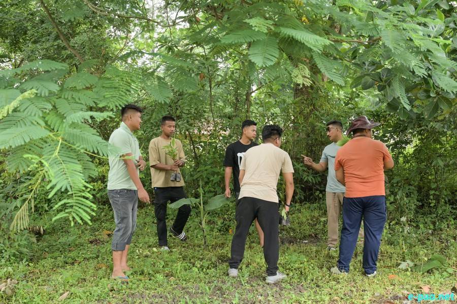 Second Phase of 'Ningol Van' Tree Plantation Drive held at Mekola, Imphal West :: 14th June 2026