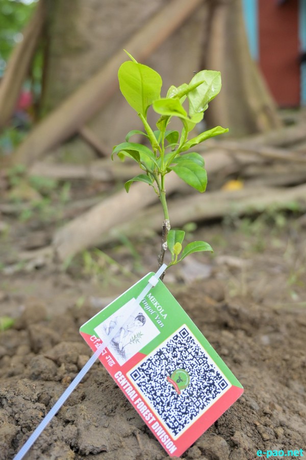 Second Phase of 'Ningol Van' Tree Plantation Drive held at Mekola, Imphal West :: 14th June 2026