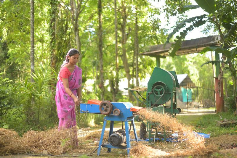 Innovation is often led by women in the NER &ndash; notably in pottery and agriculture-based entrepreneurship from the region. Photo courtesy AIC SELCO Foundation. 