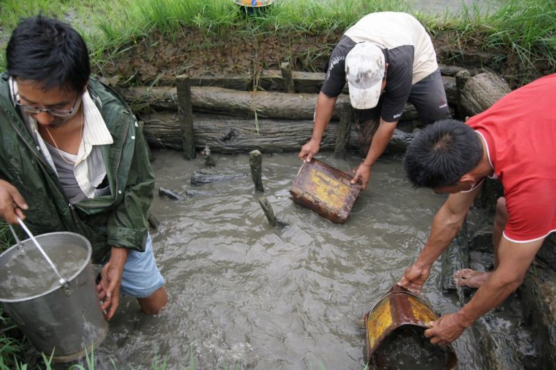   farmers catching fish inside a Khaichum 