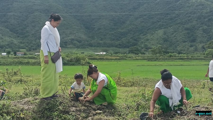 Tree Plantation Drive 1.6, 'Loushangkhong Ningol Van' at Loushangkhong Village, Imphal :: 23rd August 2026